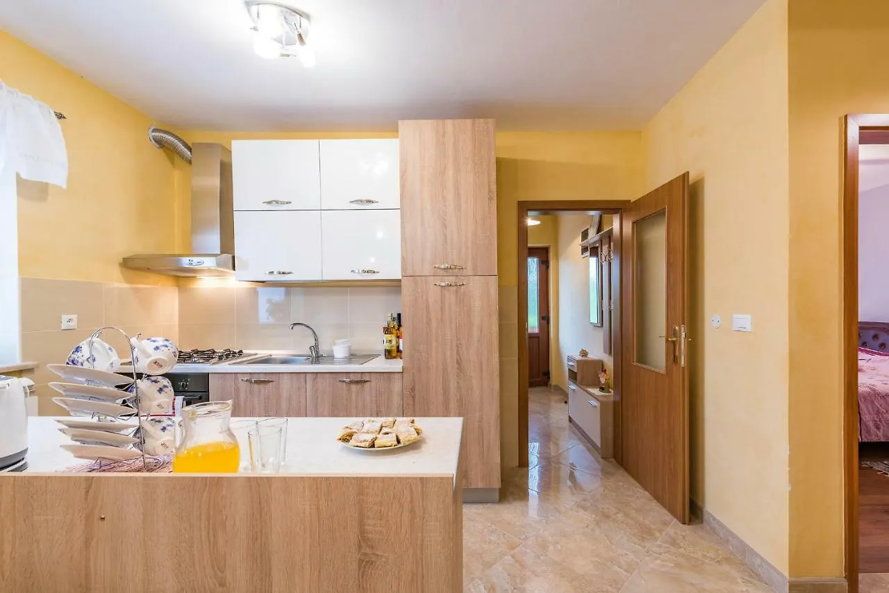 Apartment Sandi Tinjan
