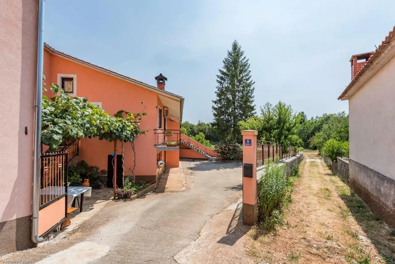 Apartment Sandi Tinjan